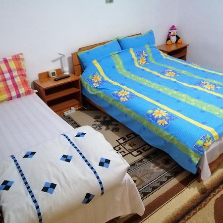 Appartement Rustic House à Turnu Măgurele Extérieur photo