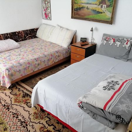 Appartement Rustic House à Turnu Măgurele Extérieur photo