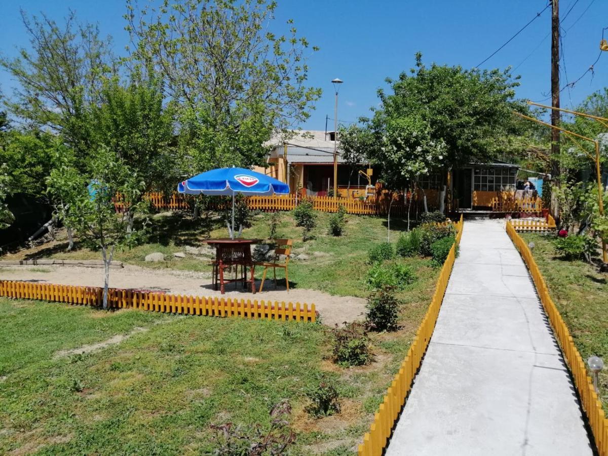 Appartement Rustic House à Turnu Măgurele Extérieur photo