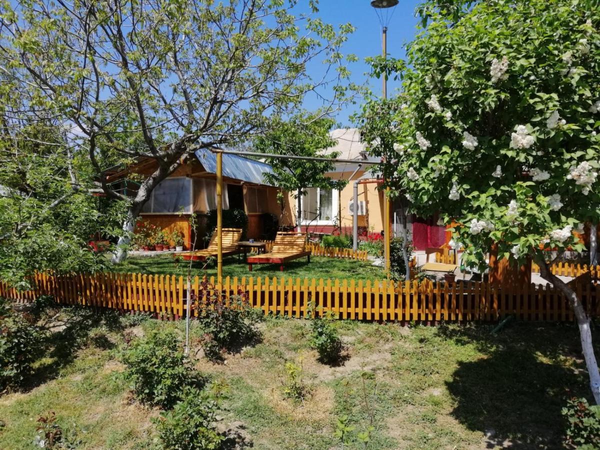 Appartement Rustic House à Turnu Măgurele Extérieur photo