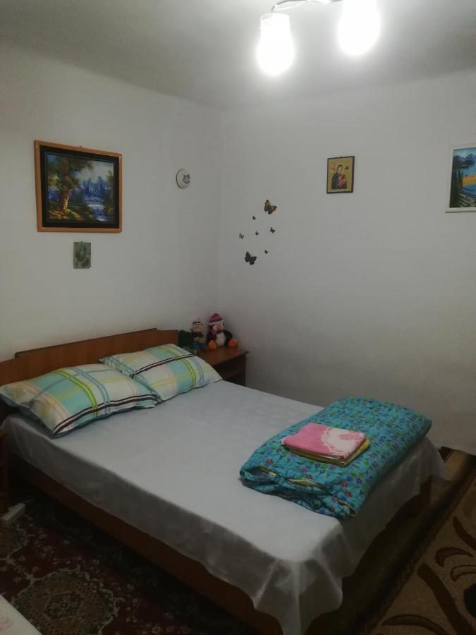 Appartement Rustic House à Turnu Măgurele Extérieur photo