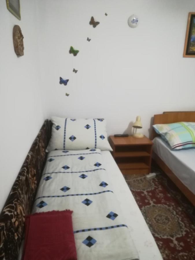 Appartement Rustic House à Turnu Măgurele Extérieur photo