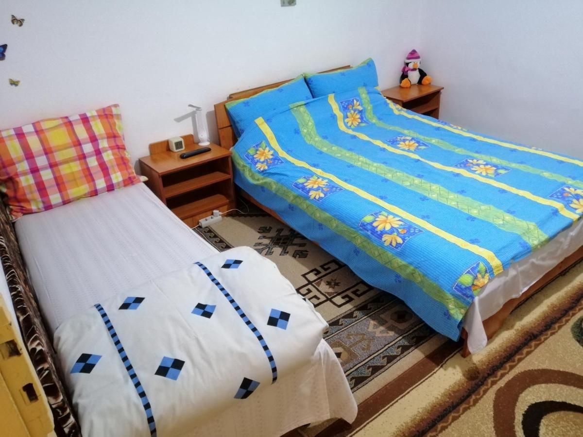 Appartement Rustic House à Turnu Măgurele Extérieur photo