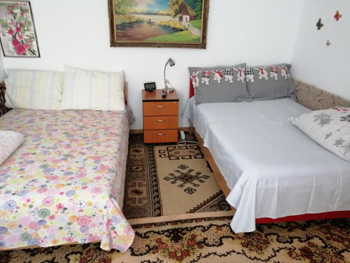 Appartement Rustic House à Turnu Măgurele Extérieur photo