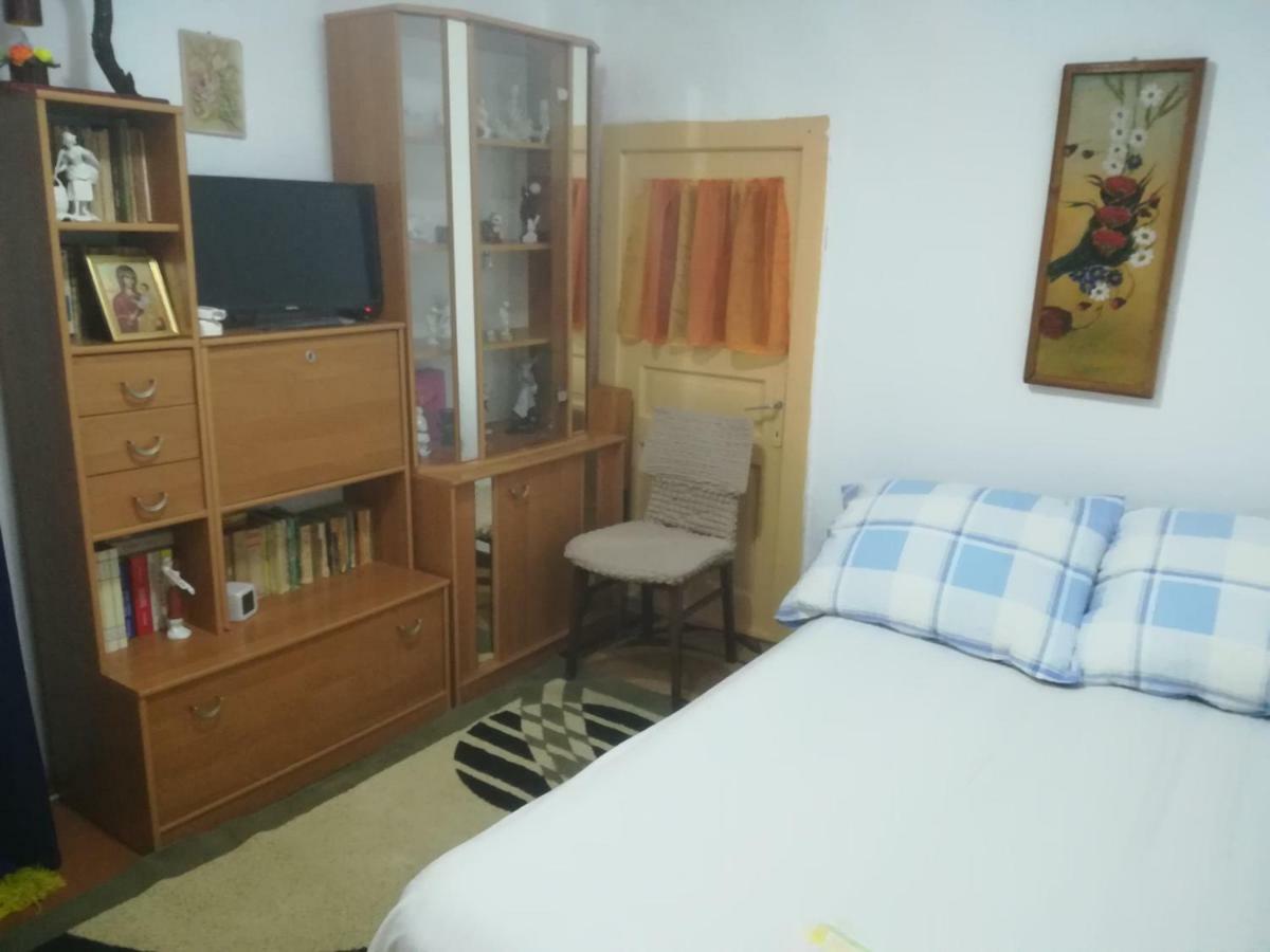 Appartement Rustic House à Turnu Măgurele Extérieur photo