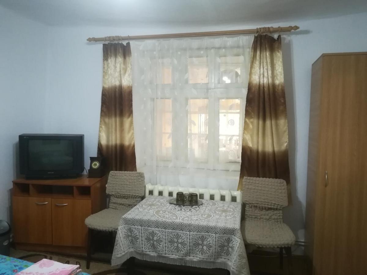 Appartement Rustic House à Turnu Măgurele Extérieur photo